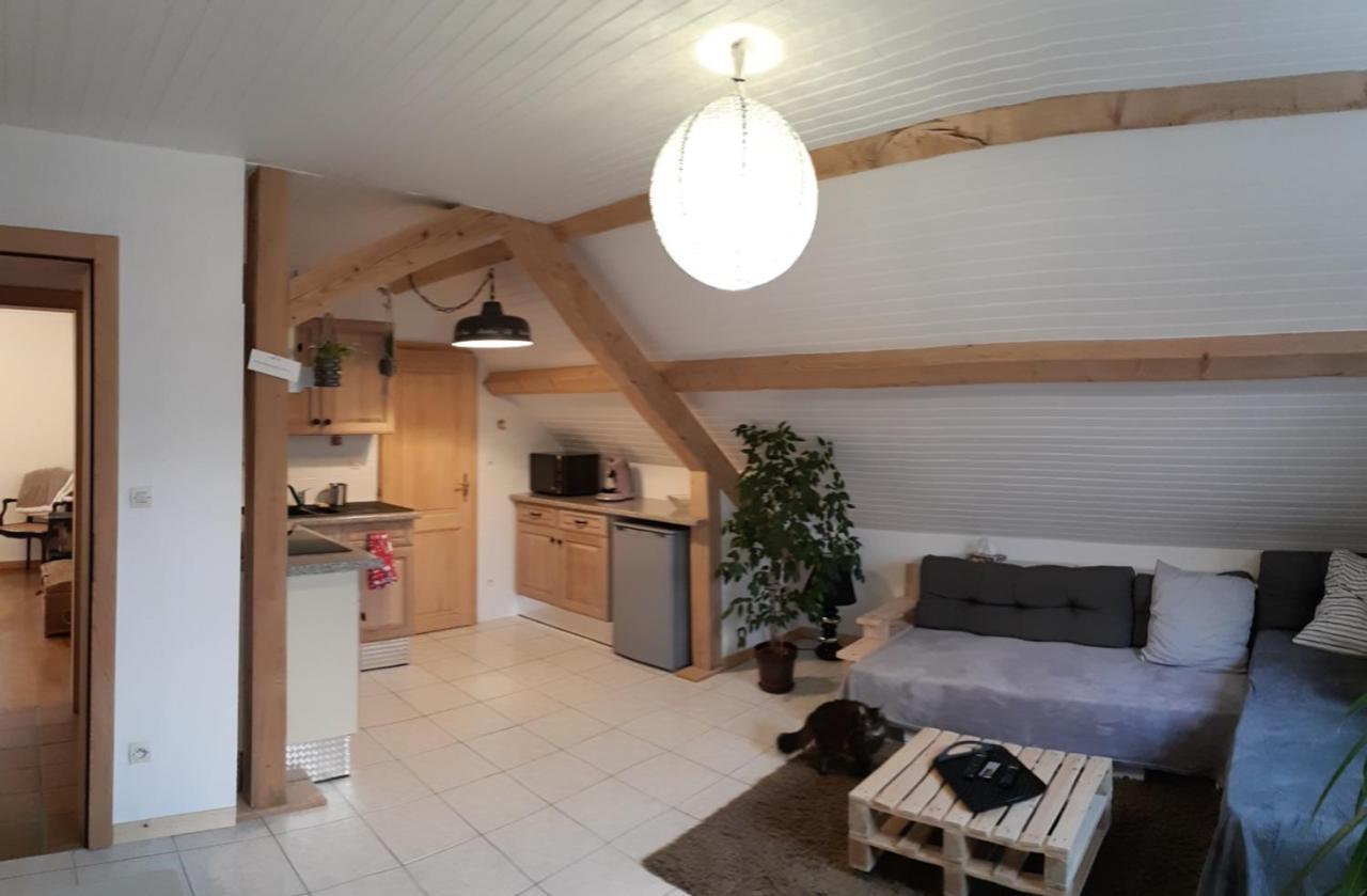 Appartement Douillet Avec Vue Sur Les Montagnes Fouchy Esterno foto