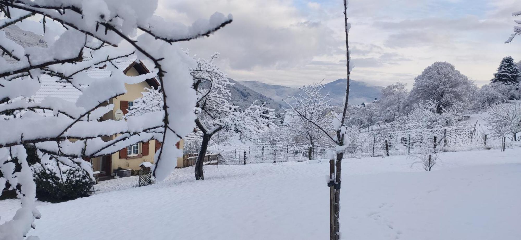 Appartement Douillet Avec Vue Sur Les Montagnes Fouchy Esterno foto