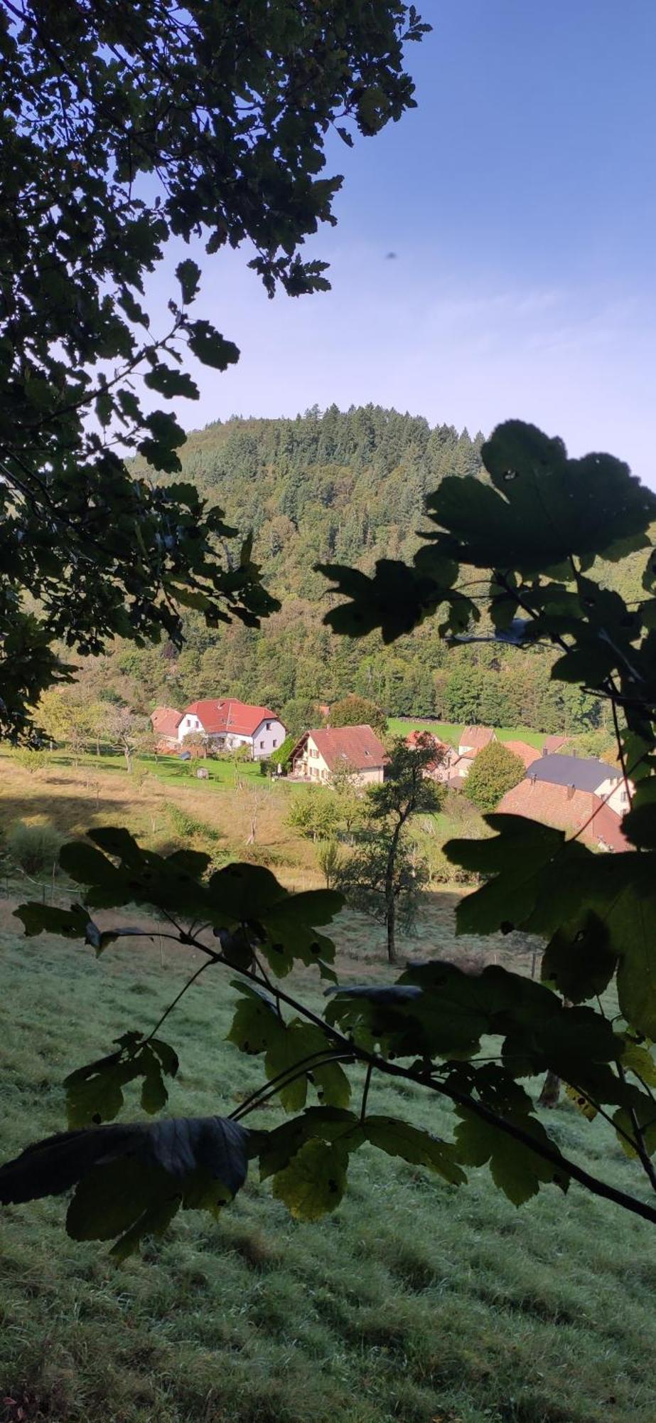 Appartement Douillet Avec Vue Sur Les Montagnes Fouchy Esterno foto